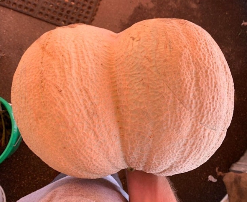 33 stories about what life did not prepare us for 33 stories about what life did not prepare us for