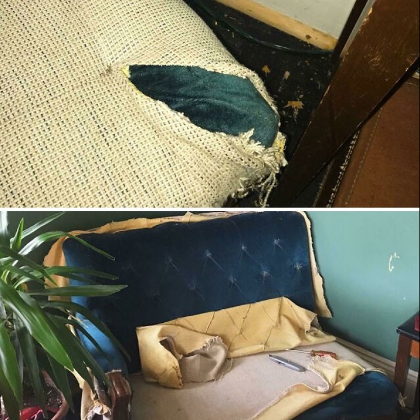 35 amazing finds that people have shared online