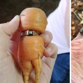 35 amazing finds that people have shared online 35 amazing finds that people have shared online
