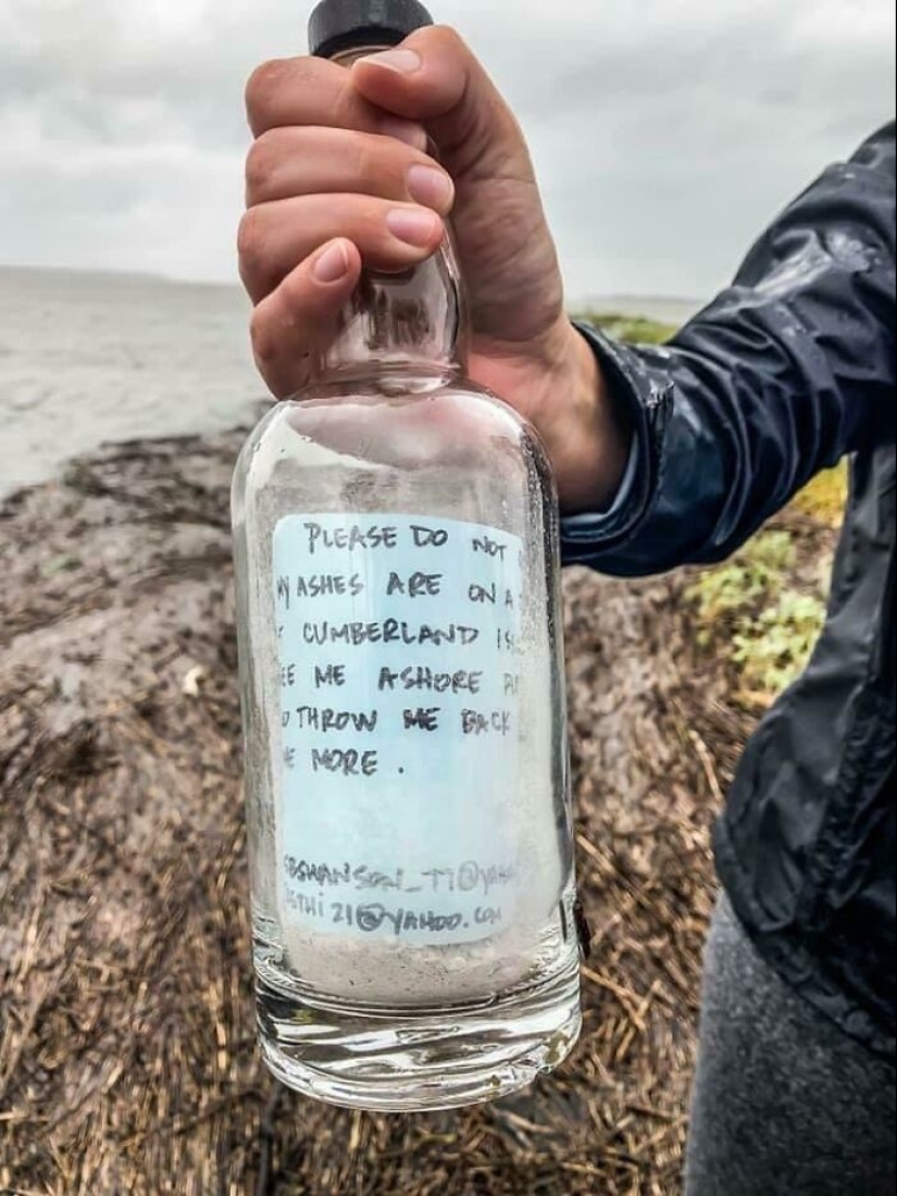 35 amazing finds that people have shared online