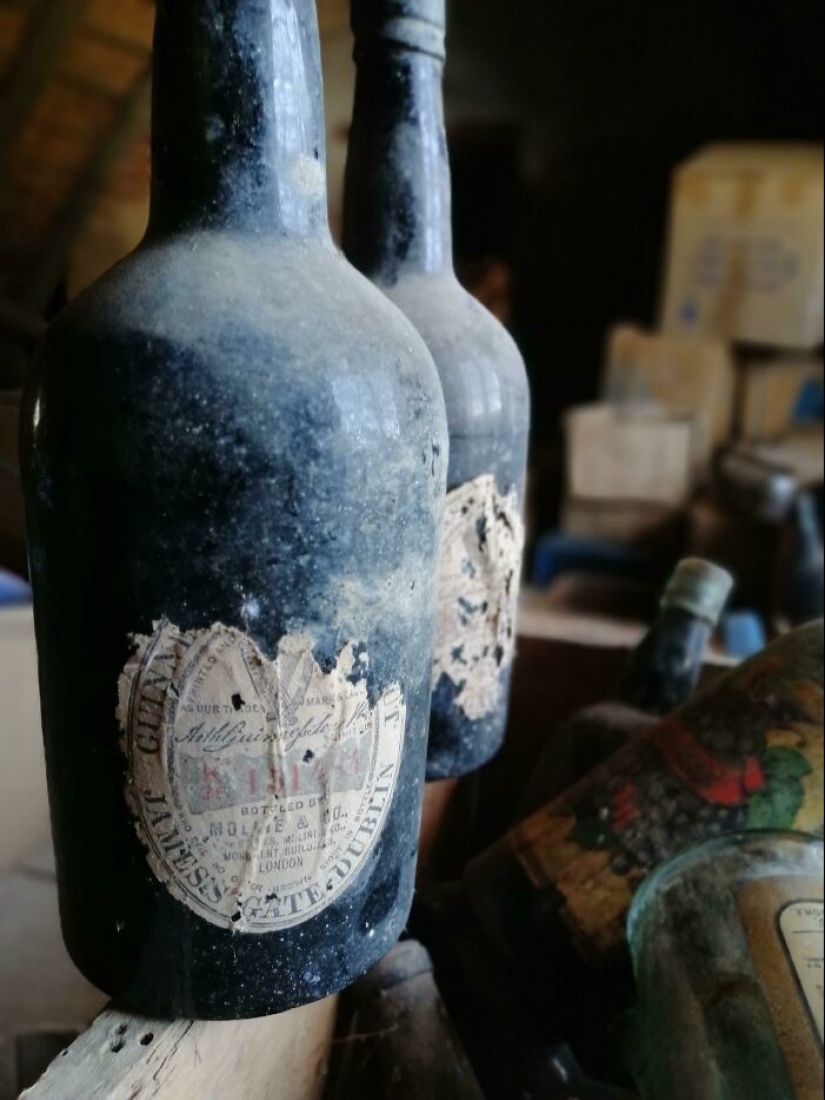 35 amazing finds that people have shared online