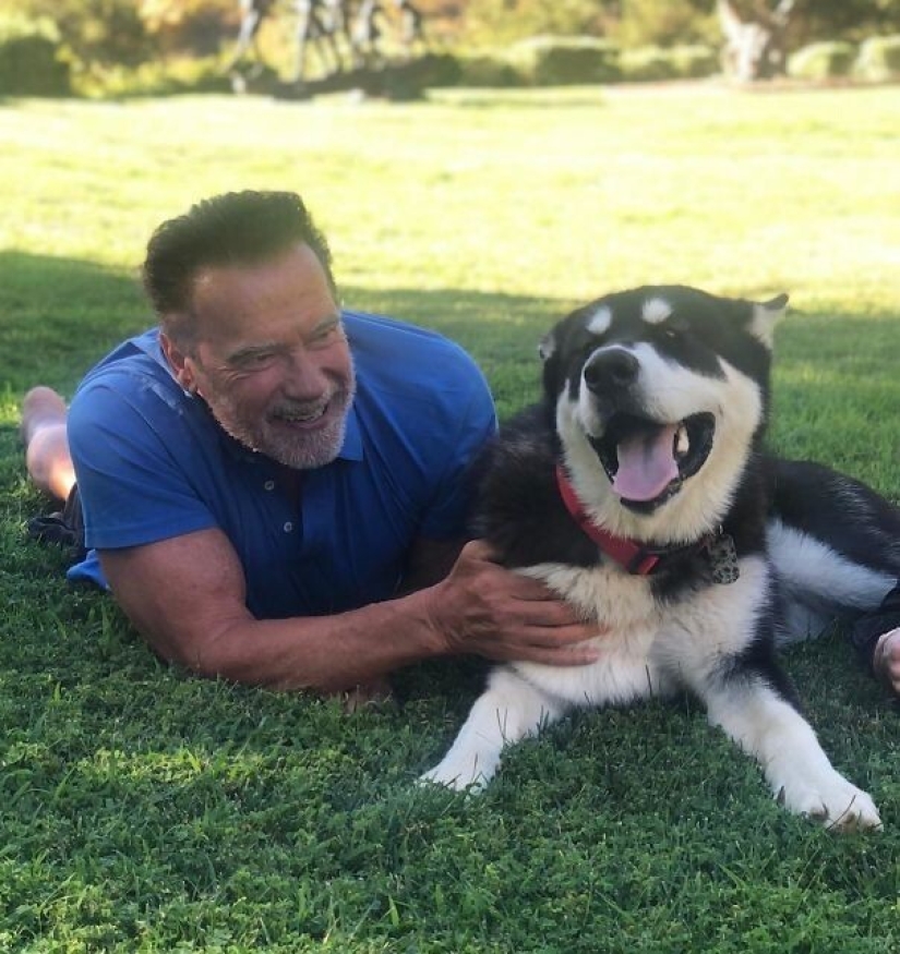 35 animals from shelters who were very lucky to meet "their" person