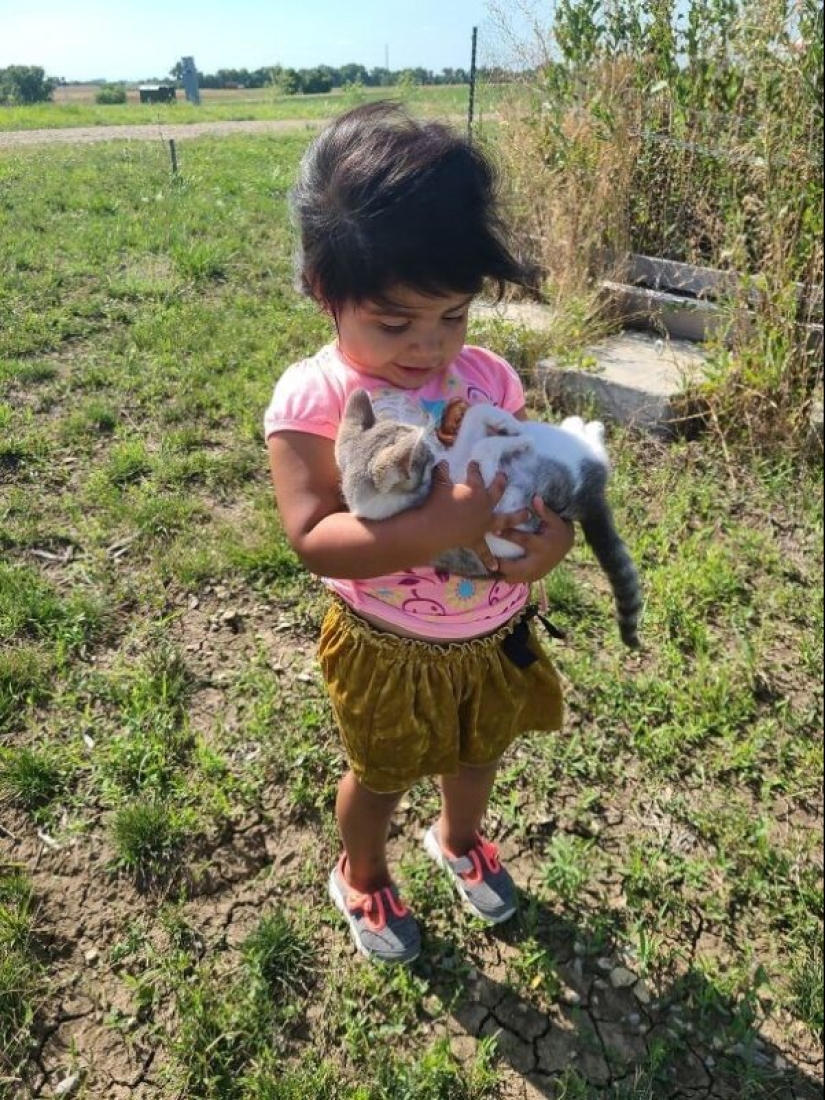 35 animals from shelters who were very lucky to meet "their" person