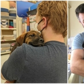 35 animals from shelters who were very lucky to meet "their" person 35 animals from shelters who were very lucky to meet "their" person
