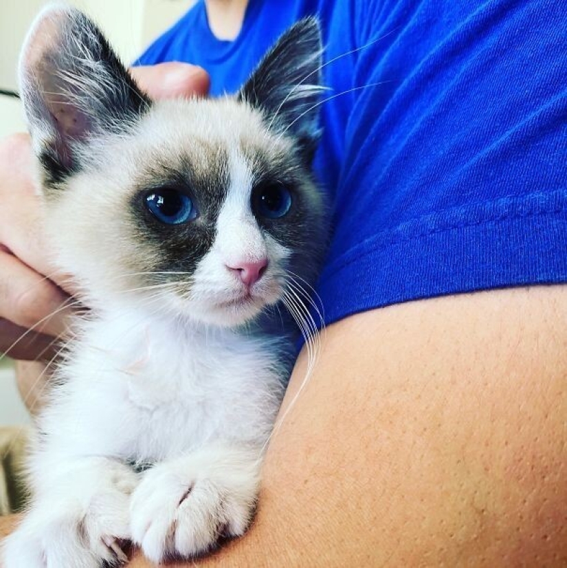 35 animals from shelters who were very lucky to meet "their" person