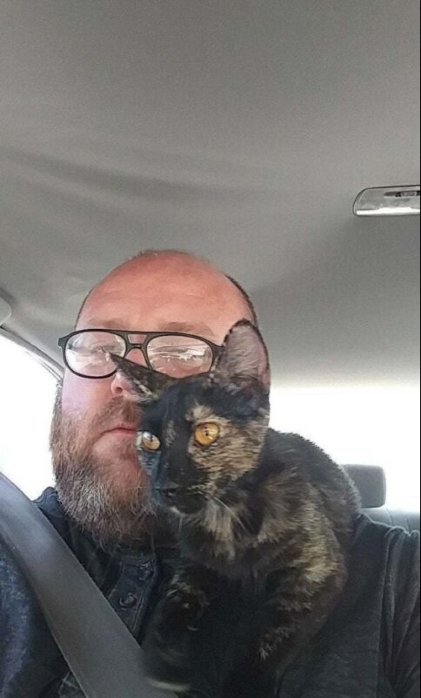 35 animals from shelters who were very lucky to meet "their" person