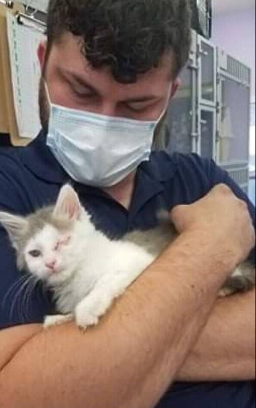 35 animals from shelters who were very lucky to meet "their" person