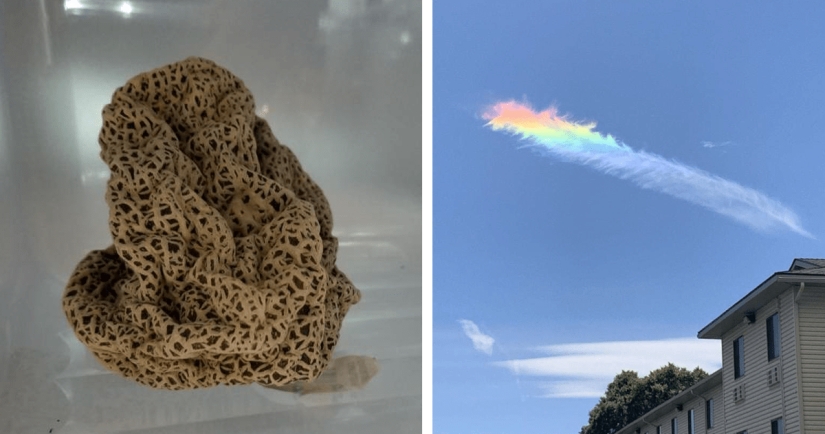 35 cases when people stumbled upon something incredible and amazing