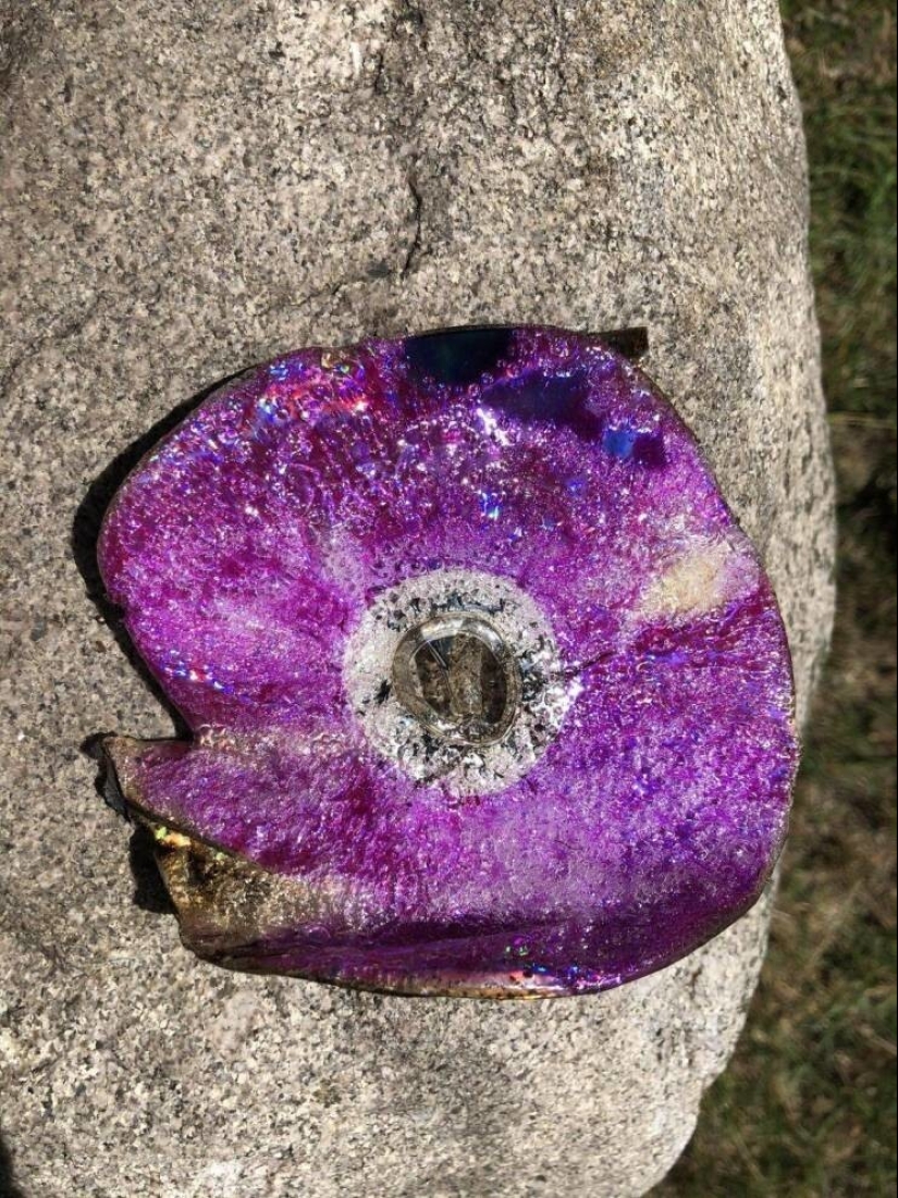 35 cases when people stumbled upon something incredible and amazing