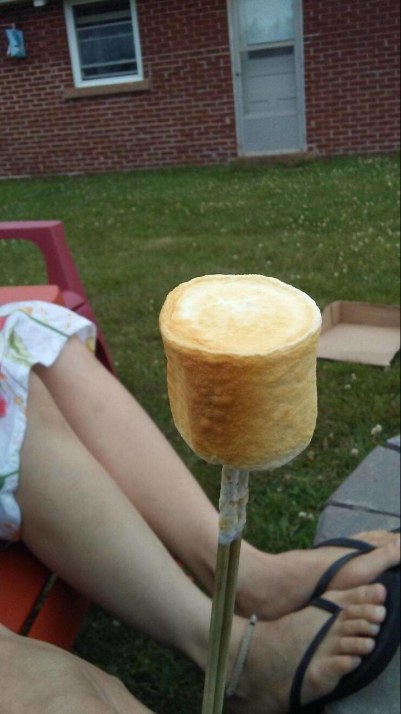 35 cases when people stumbled upon something incredible and amazing