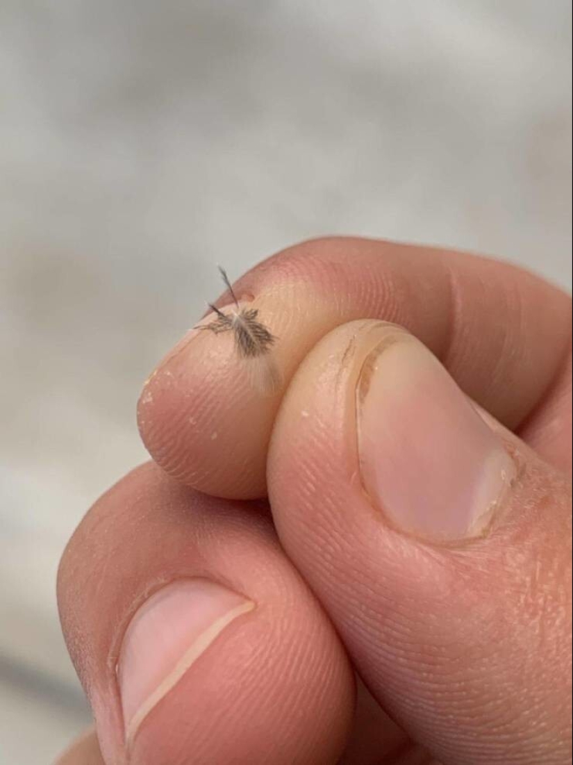 35 cases when people stumbled upon something incredible and amazing