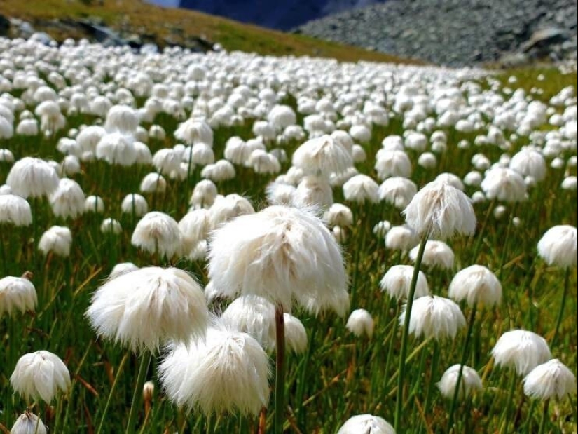 35 cases when people stumbled upon something incredible and amazing