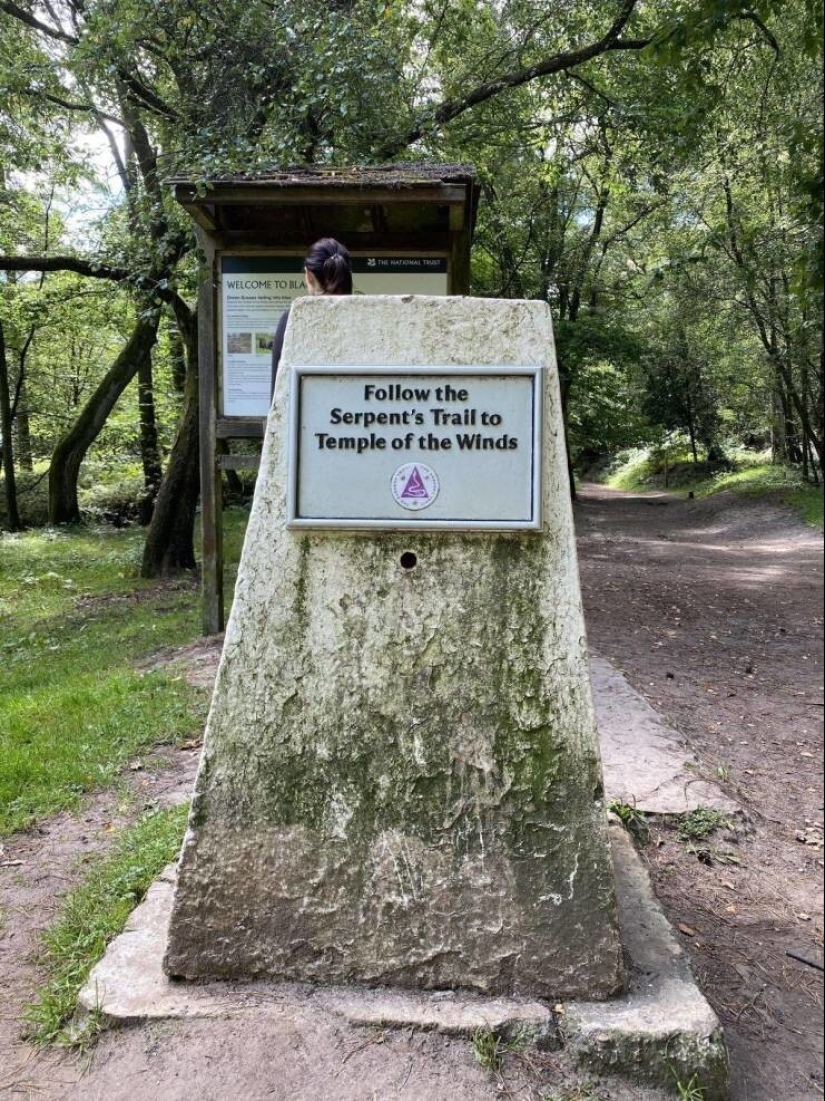 35 cases when people stumbled upon something incredible and amazing