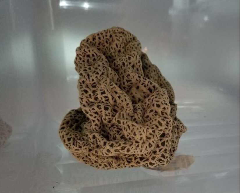 35 cases when people stumbled upon something incredible and amazing