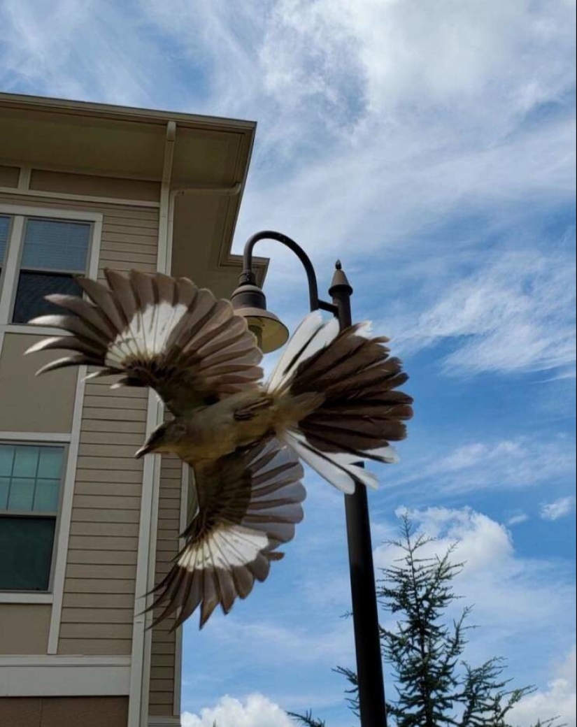 35 cases when people stumbled upon something incredible and amazing