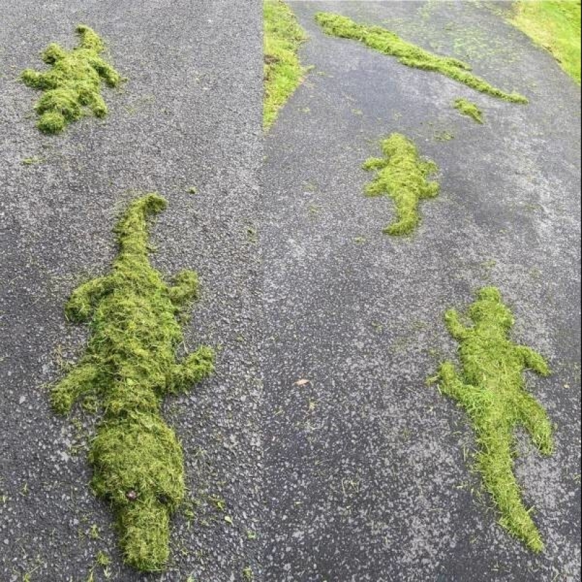 35 cases when people stumbled upon something incredible and amazing