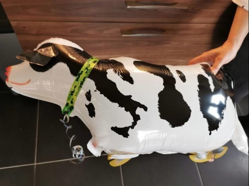 35 cases when people stumbled upon something incredible and amazing