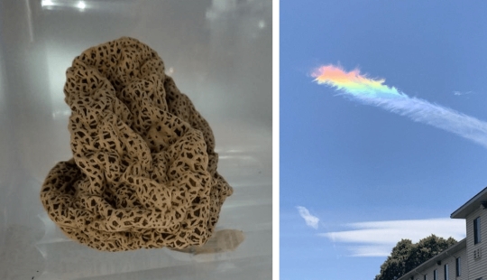 35 cases when people stumbled upon something incredible and amazing 35 cases when people stumbled upon something incredible and amazing