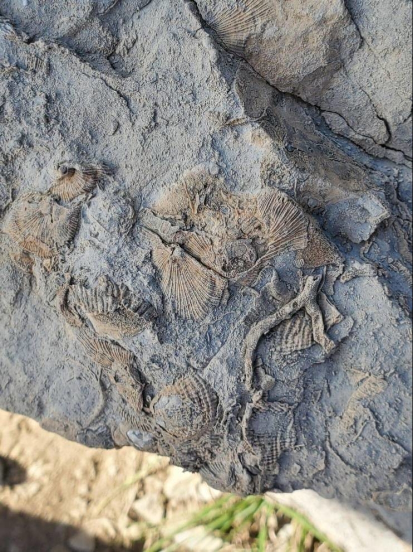 35 cases when people stumbled upon something incredible and amazing