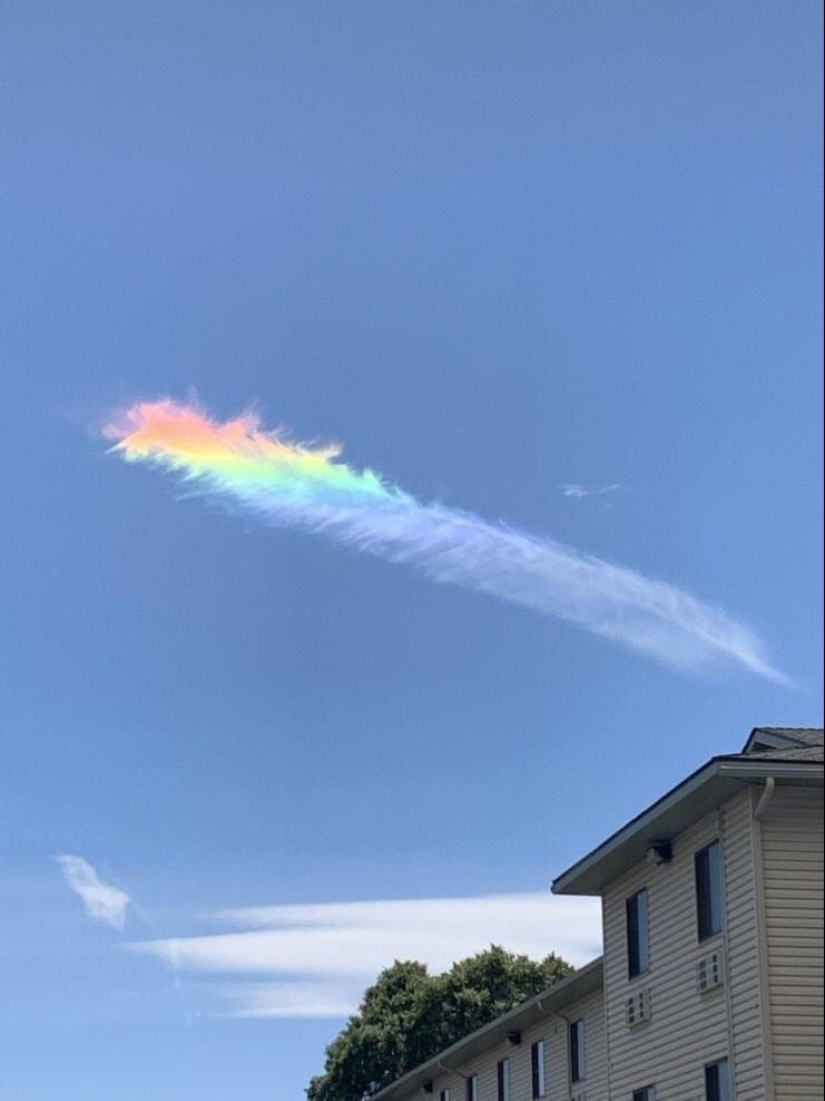 35 casos en los que la gente tropezó con algo increíble y sorprendente