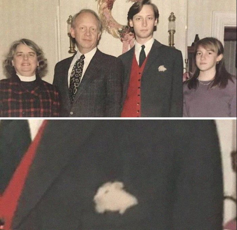 35 funny animal photos. For those who need a cure for negativity 35 funny animal photos. For those who need a cure for negativity