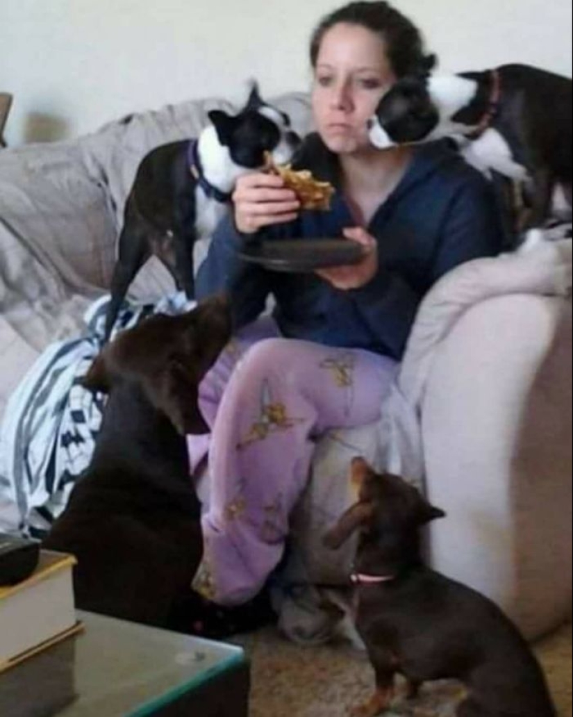 35 funny animal photos. For those who need a cure for negativity 35 funny animal photos. For those who need a cure for negativity