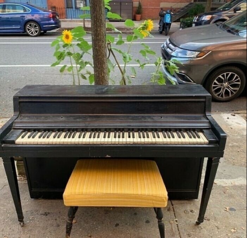 35 gorgeous things that people considered trash and put on the streets of new York 35 gorgeous things that people considered trash and put on the streets of new York