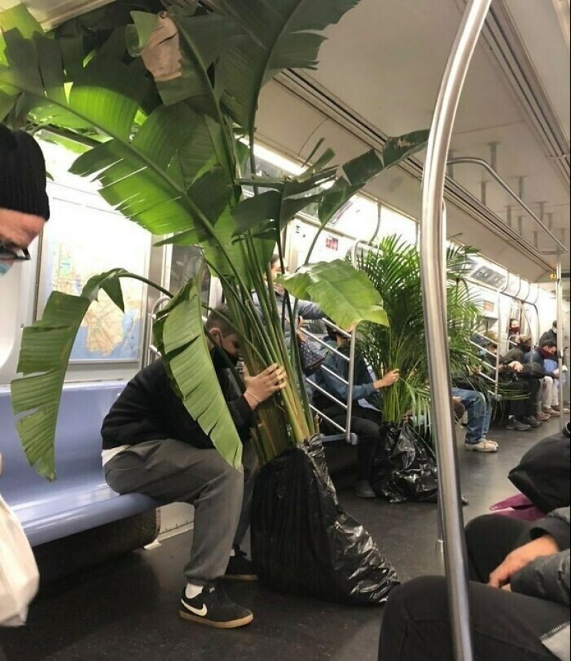 35 gorgeous things that people considered trash and put on the streets of new York 35 gorgeous things that people considered trash and put on the streets of new York
