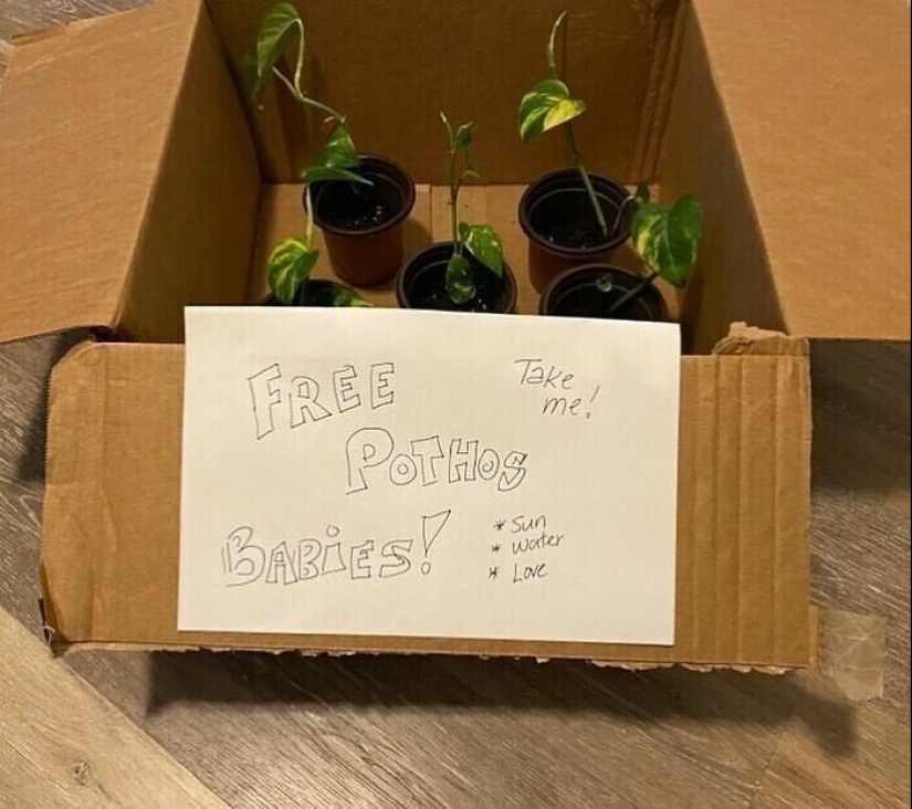 35 gorgeous things that people considered trash and put on the streets of new York 35 gorgeous things that people considered trash and put on the streets of new York