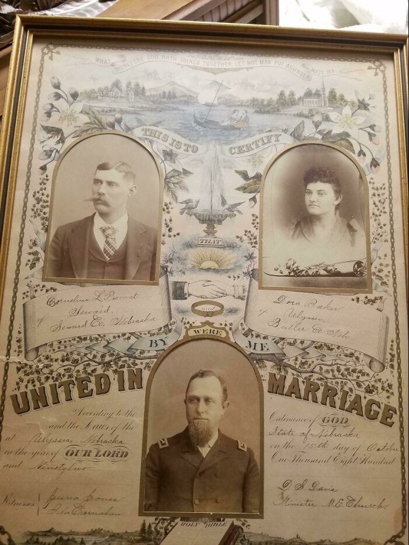 35 hallazgos increíbles que la gente ha compartido en línea