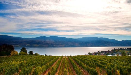 35 most beautiful vineyards in the world 35 most beautiful vineyards in the world