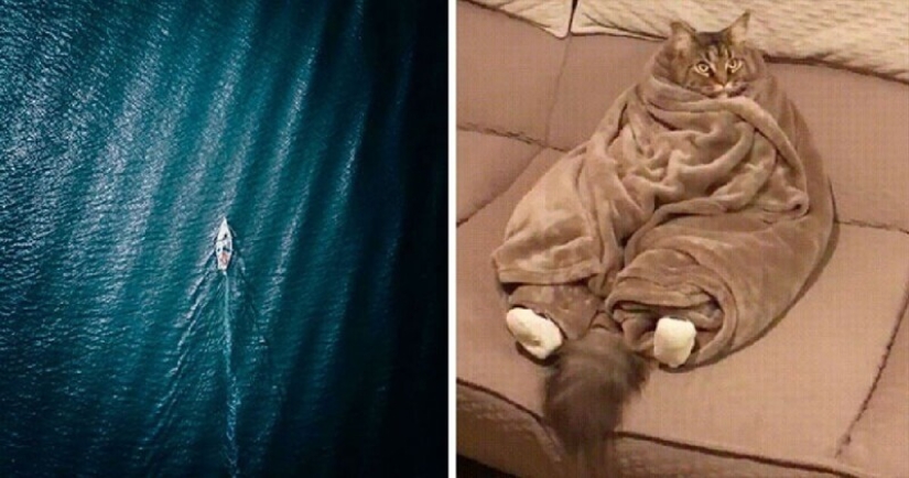 35 photos where you can see something completely different from what is depicted