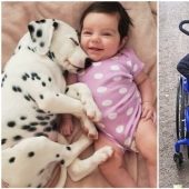 35 pruebas conmovedoras de que un perro es el mejor amigo de un niño