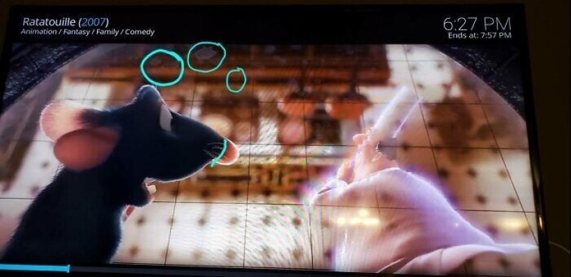 35 subtle details in the cartoon "Ratatouille" that you probably didn't notice