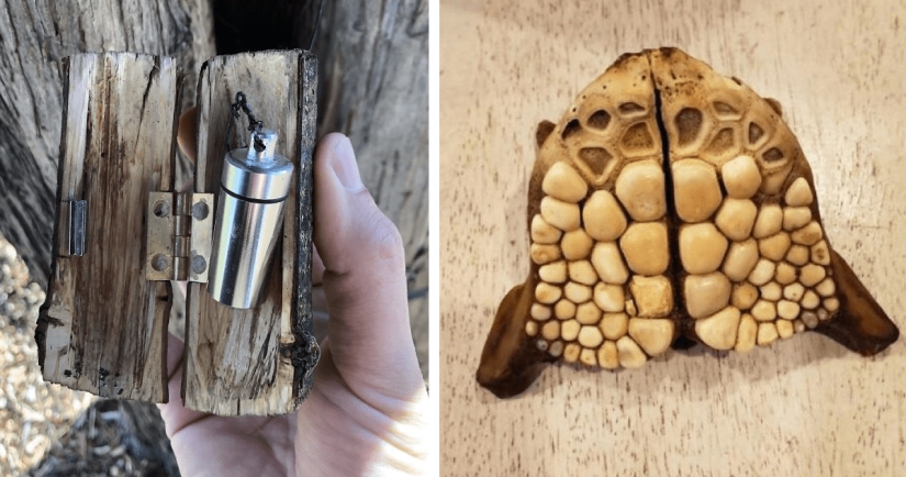 35 times when the Internet has helped people identify their unusual finds 35 times when the Internet has helped people identify their unusual finds