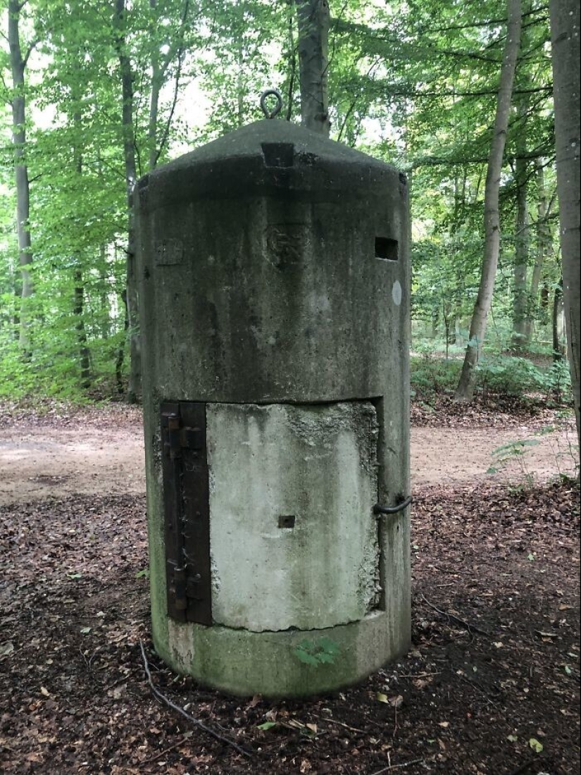 35 times when the Internet has helped people identify their unusual finds 35 times when the Internet has helped people identify their unusual finds