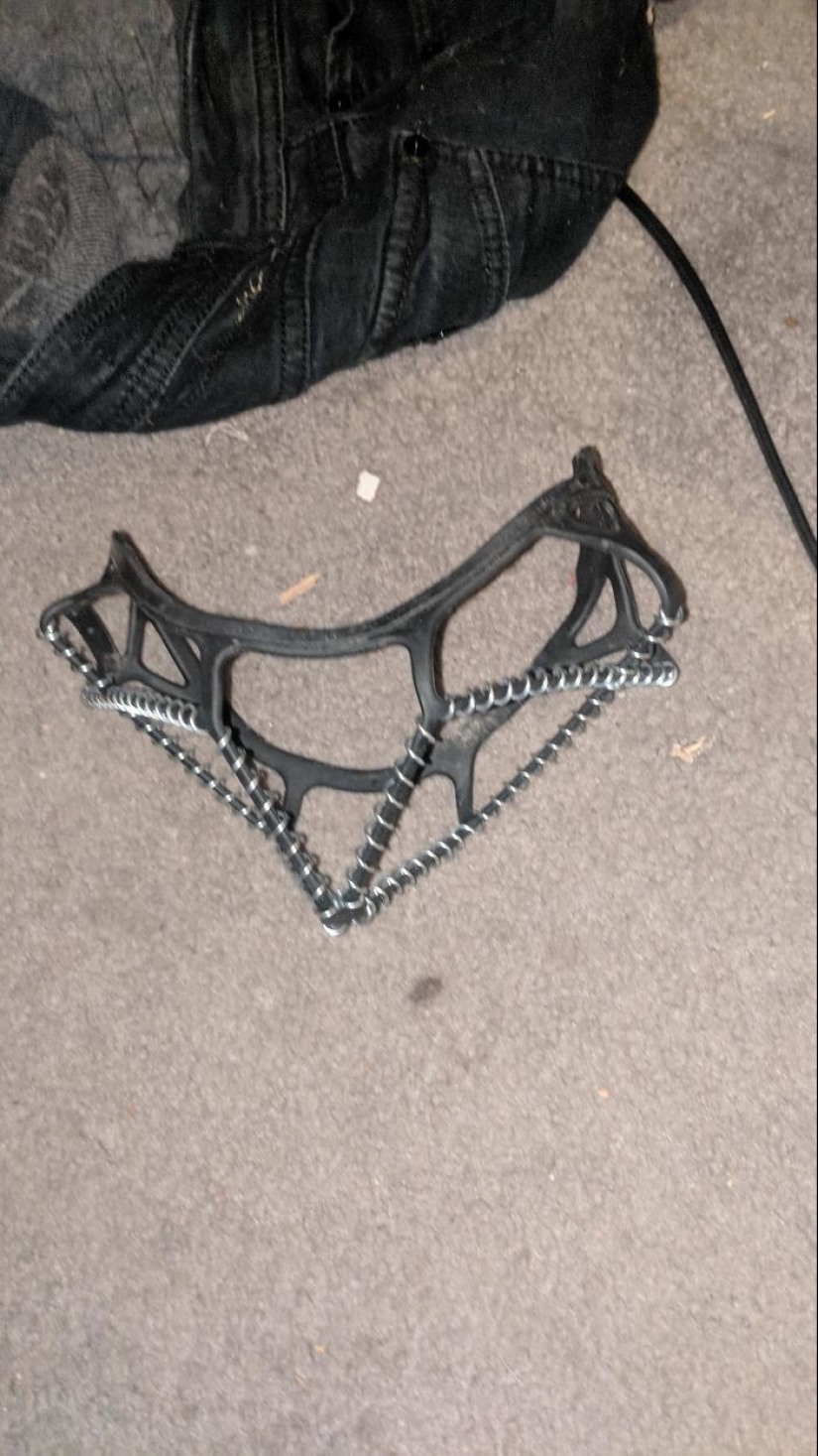 35 times when the Internet has helped people identify their unusual finds 35 times when the Internet has helped people identify their unusual finds