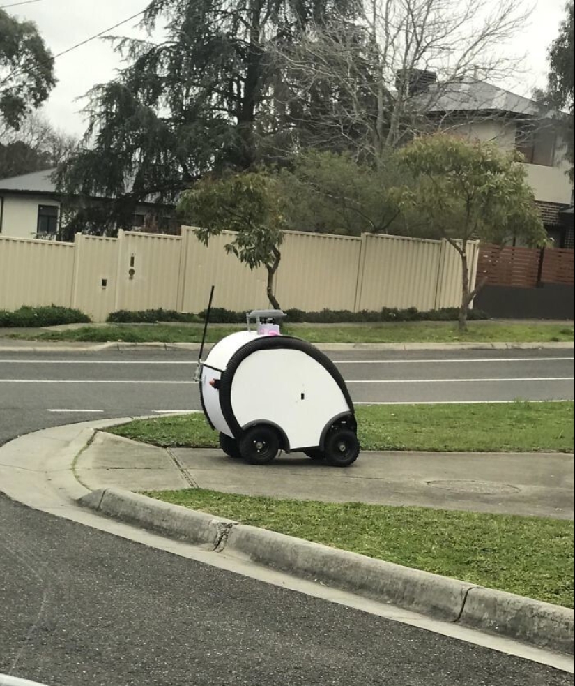 35 times when the Internet has helped people identify their unusual finds 35 times when the Internet has helped people identify their unusual finds