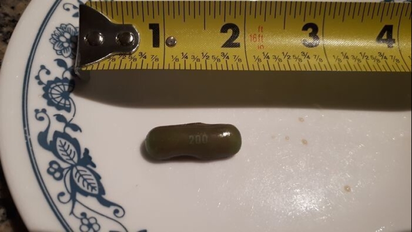 35 times when the Internet has helped people identify their unusual finds 35 times when the Internet has helped people identify their unusual finds