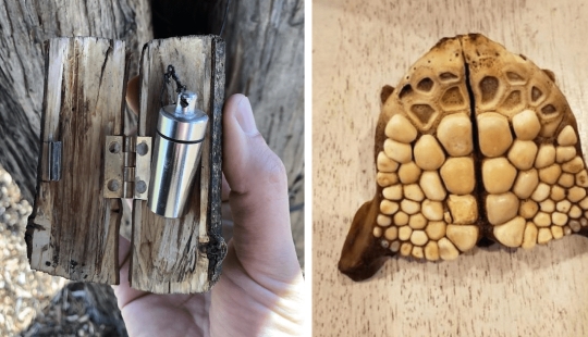 35 times when the Internet has helped people identify their unusual finds 35 times when the Internet has helped people identify their unusual finds