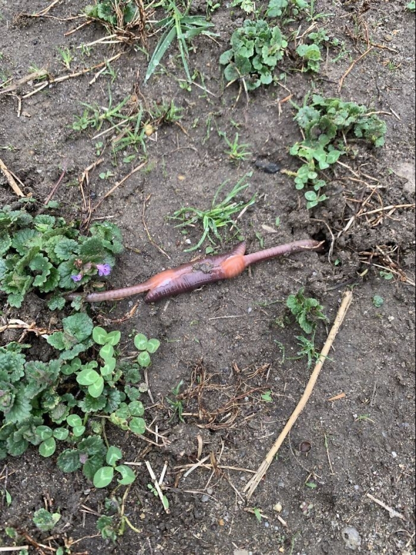 35 times when the Internet has helped people identify their unusual finds 35 times when the Internet has helped people identify their unusual finds