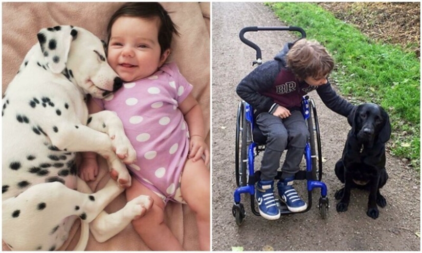 35 touching proofs that a dog is a child&#39;s best friend