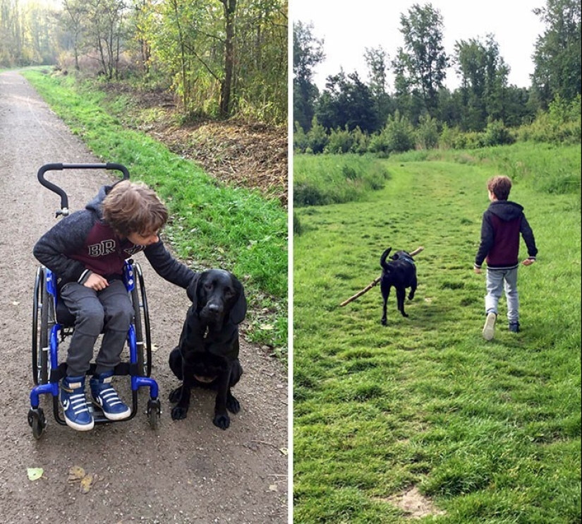 35 touching proofs that a dog is a child&#39;s best friend