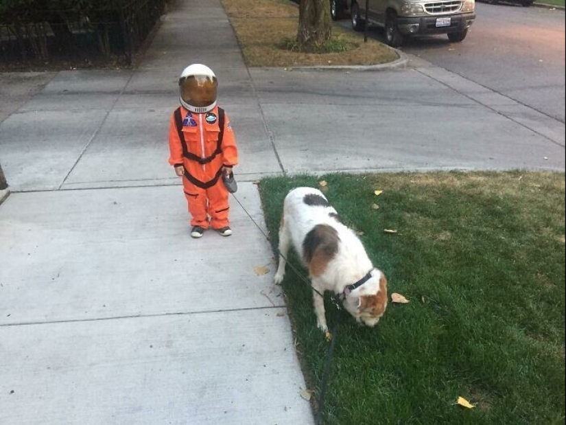 35 touching proofs that a dog is a child&#39;s best friend