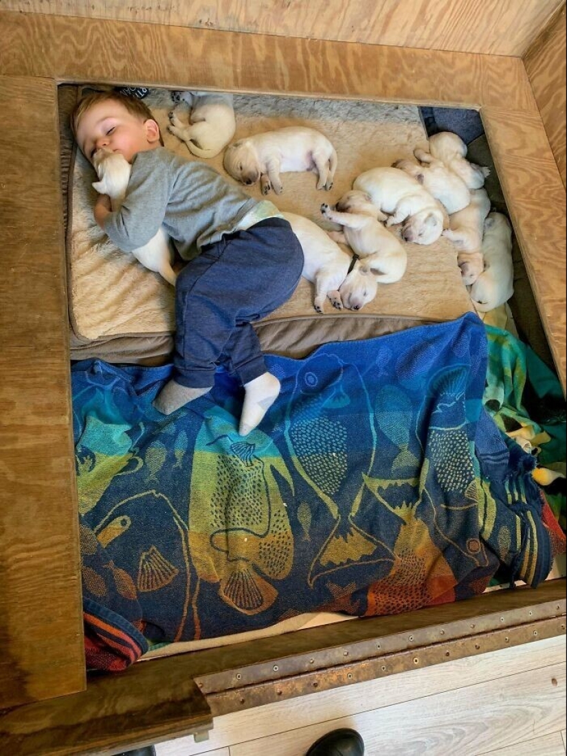 35 touching proofs that a dog is a child&#39;s best friend