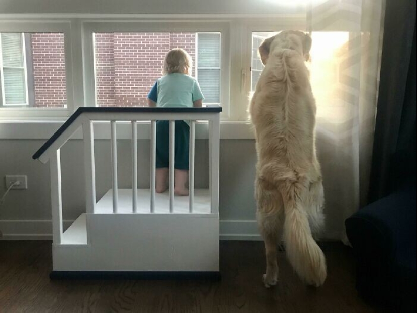 35 touching proofs that a dog is a child&#39;s best friend