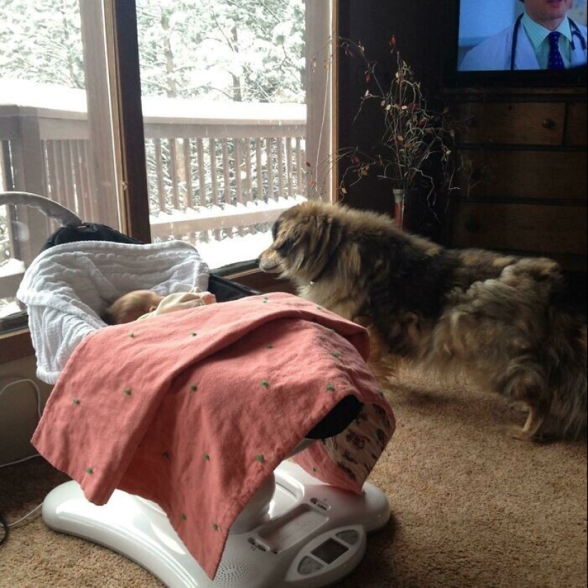 35 touching proofs that a dog is a child&#39;s best friend