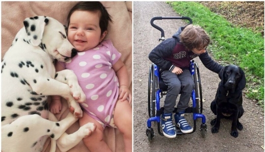 35 touching proofs that a dog is a child's best friend 35 touching proofs that a dog is a child's best friend