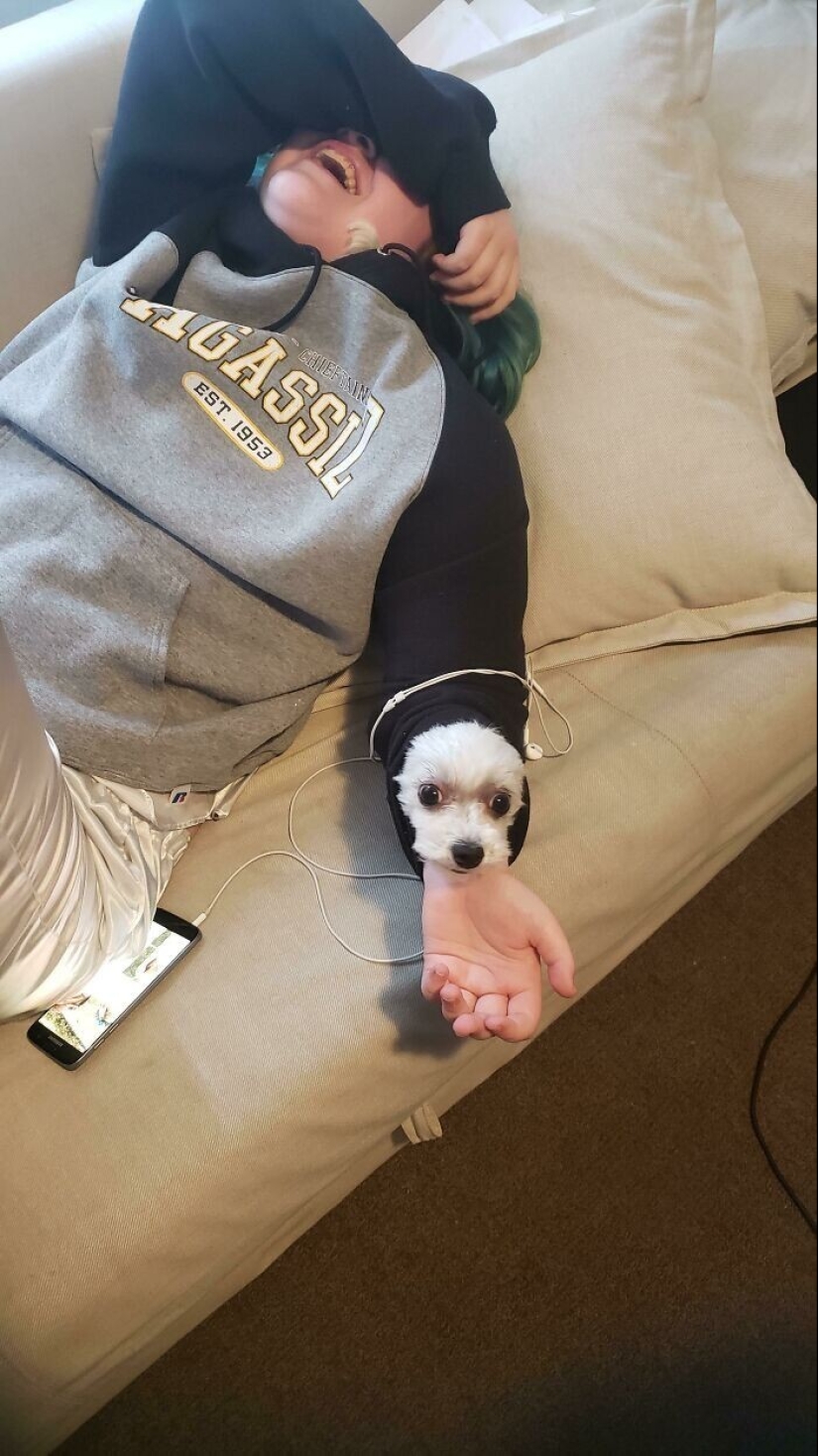 35 touching proofs that a dog is a child&#39;s best friend