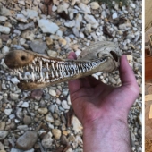 35 unusual finds of ordinary people 35 unusual finds of ordinary people